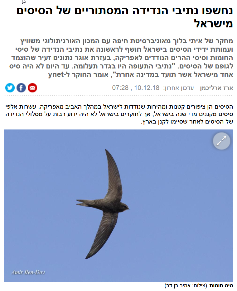 You are currently viewing Swift research featured in Ynet (Hebrew)