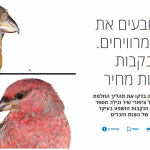 Read more about the article Passerine feather moult research featured in Ha’aretz (Hebrew)