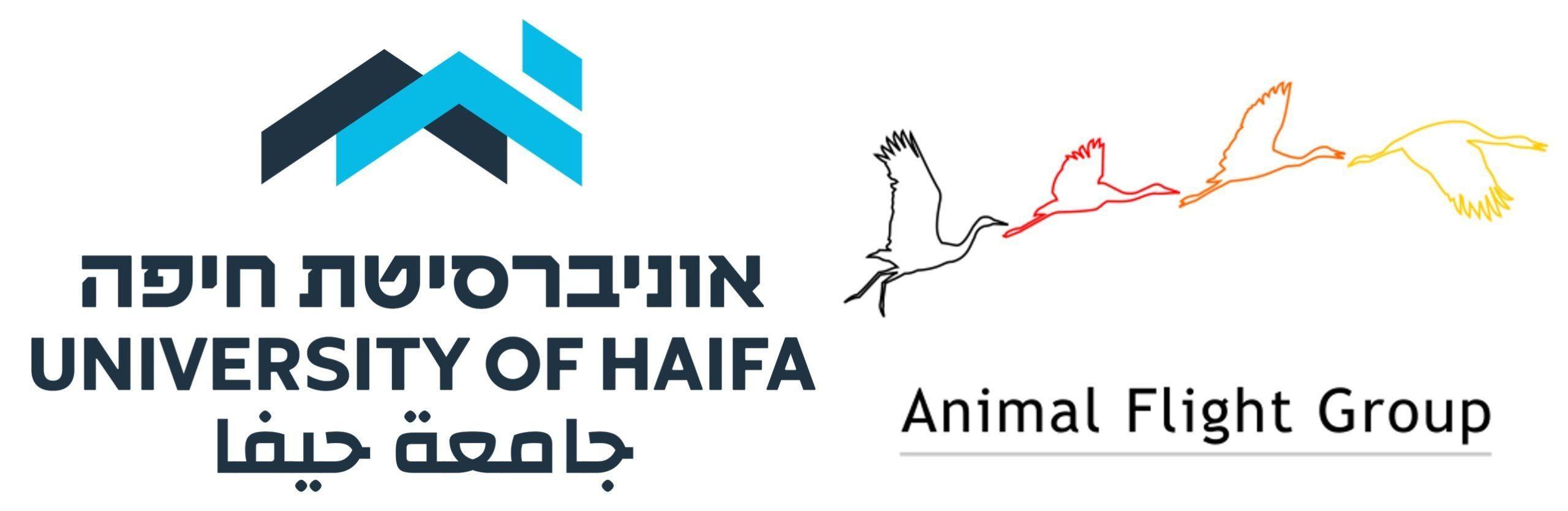 Animal Flight Group